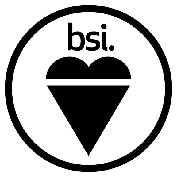 Logo of BSI Group