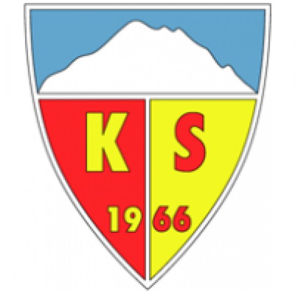 Logo of Kayserispor
