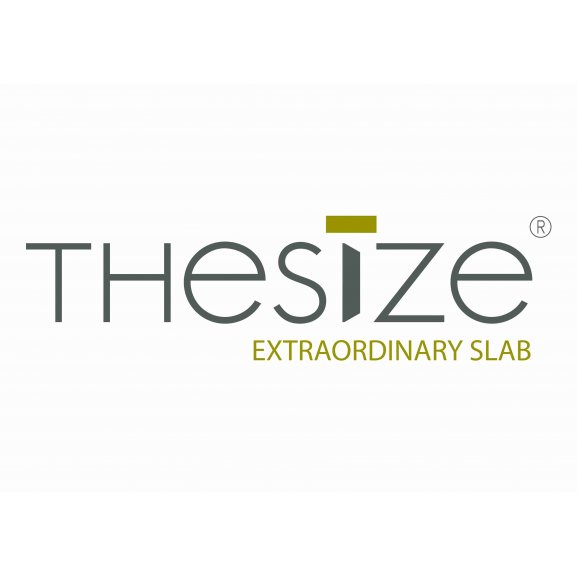 Logo of Thesize