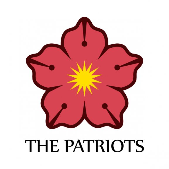 Logo of The Patriots 