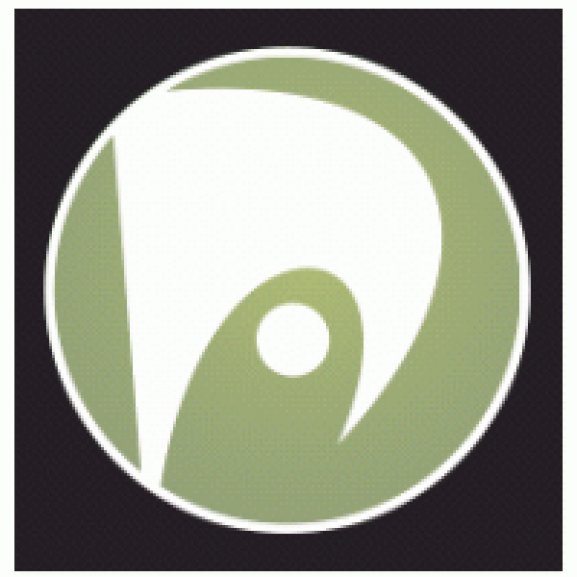 Logo of Palyssa videoworks