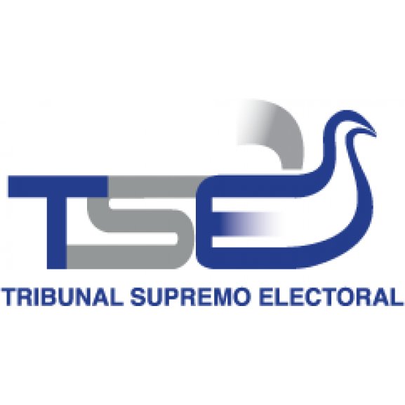 Logo of Tribunal Supremo Electoral