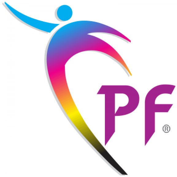 Logo of Punjab Flex