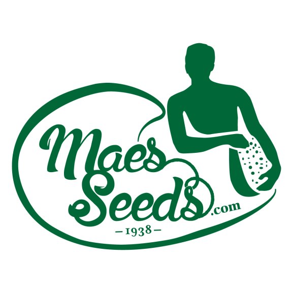 Logo of Maes Seeds