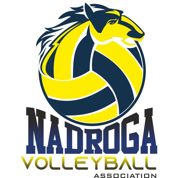 Logo of Nadroga Volleyball Association