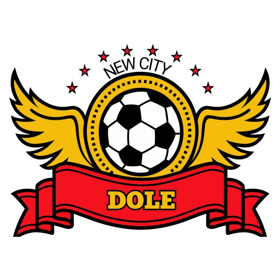 Logo of New City Football Club