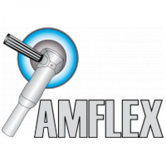 Logo of AMFLEX