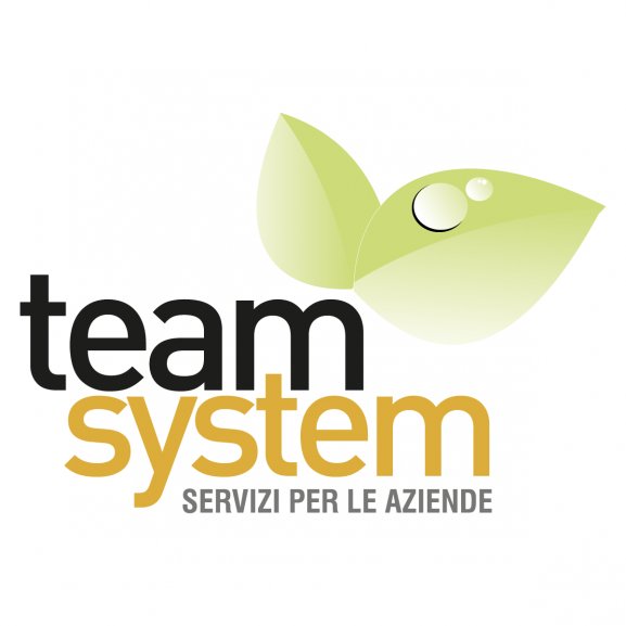 Logo of Team System servizi per le imprese