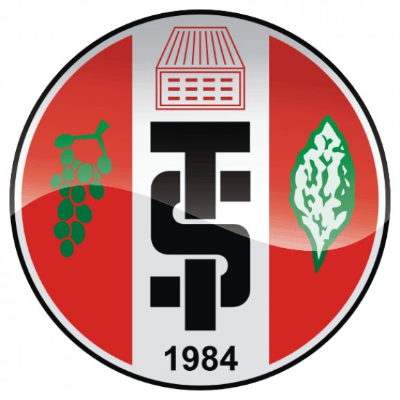 Logo of Turgutluspor K