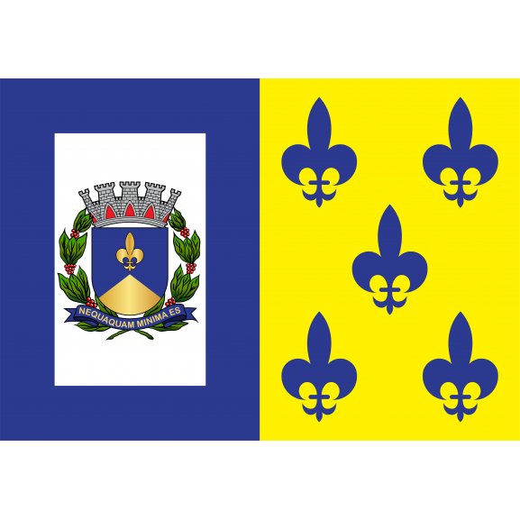 Logo of Bandeira de Descalvado