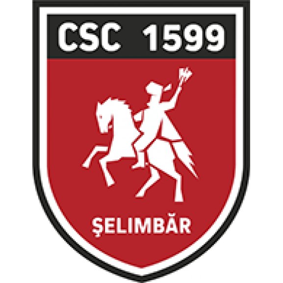 Logo of CSC Selimbar