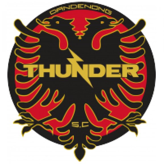 Logo of Dandenong Thunder SC