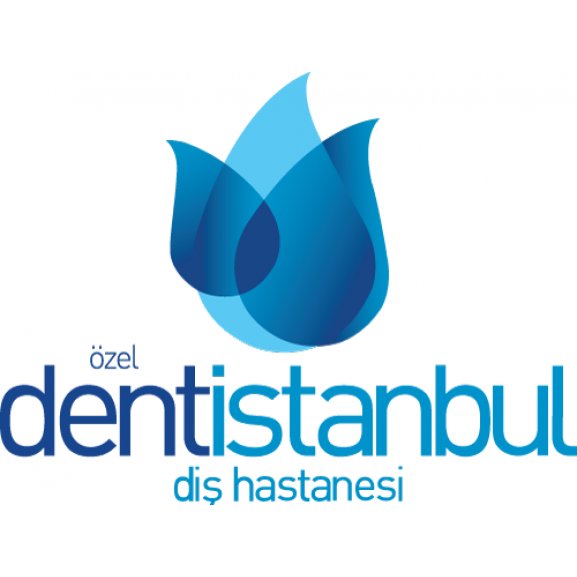 Logo of Dent İstanbul Diş Hastanesi