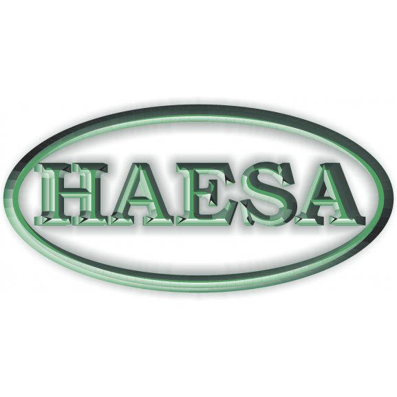 Logo of Haesa Comercial