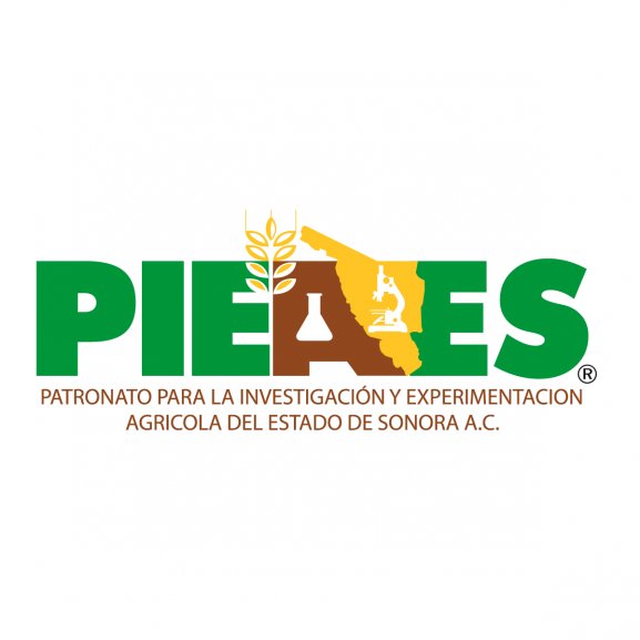 Logo of Pieaes