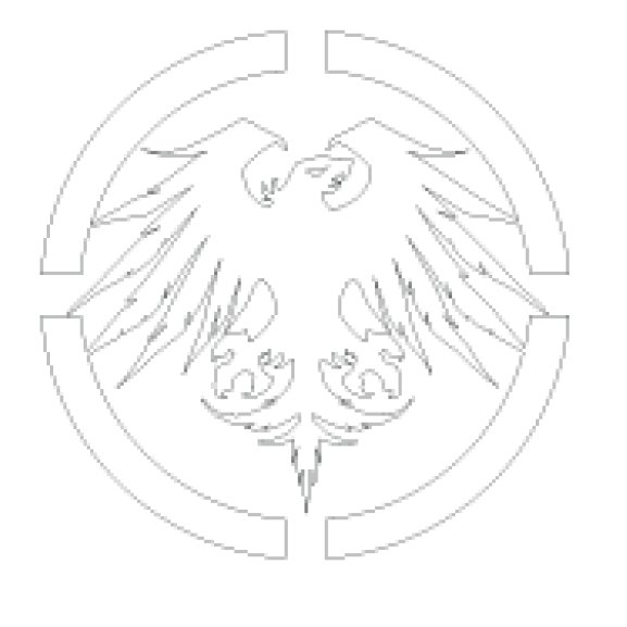 Logo of Never Summer Snowboards 