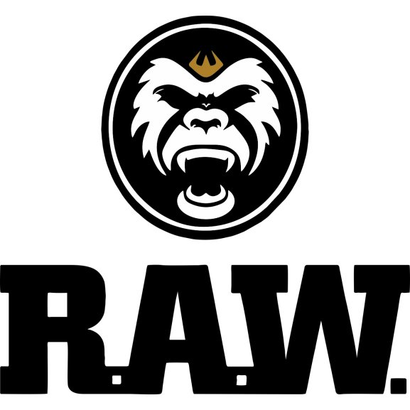 Logo of RAW Sports
