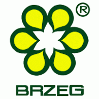 Logo of Brzeg