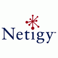 Logo of Netigy