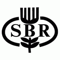 Logo of SBR Bank