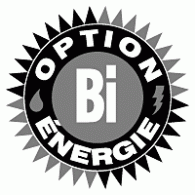 Logo of Option Bi-energie