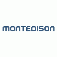 Logo of Montedison