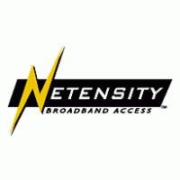 Logo of Netensity