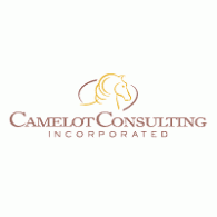 Logo of Camelot Consulting