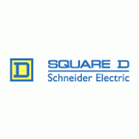 d square brand