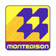 Logo of Montedison