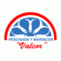 Logo of Valcor