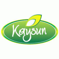 Logo of Kaysun