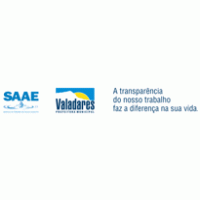 Logo of SAAE