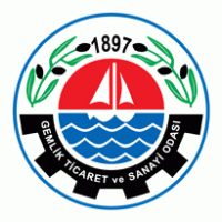 Logo of GTSO