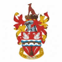 Logo of Staines Town FC