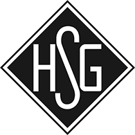Logo of Holzheimer SG