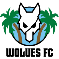Logo of WOLUES FC