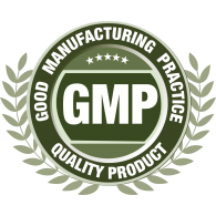 GMP Logo