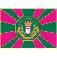 Logo of Estação Primeira de Mangueira