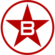 Logo of Botafogo Futebol Clube (Bebedouro)