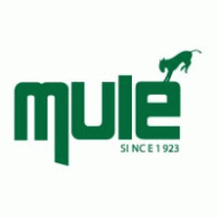 Logo of Mule Lighting