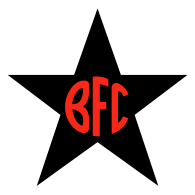 Logo of Botafogo Football Club (Santana)