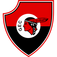Logo of Guarany Esporte Clube – Ponta Grossa