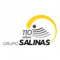 Logo of Grupo Salinas