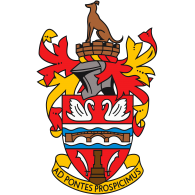 Logo of Staines Town Football Club