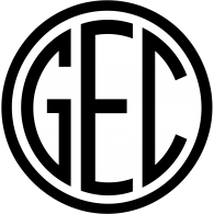 Logo of Guarani Esporte Clube (Porto Velho)
