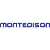 Logo of Montedison