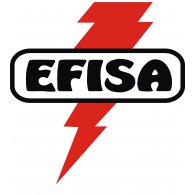 Logo of Efisa