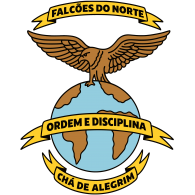 Logo of CLUBE DESPORTIVO FALCÕES DO NORTE DE SÃO VICENTE