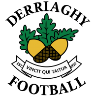 Logo of DERRIAGHY CRICKET CLUB FC
